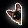 Cute Peeking Cat RGB Neon Sign