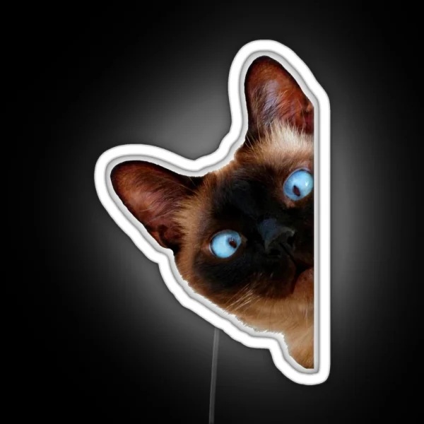 Cute Peeking Cat RGB Neon Sign