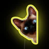 Cute Peeking Cat RGB Neon Sign - Image 5