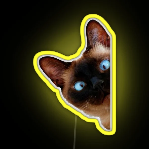 Cute Peeking Cat RGB Neon Sign