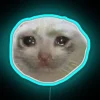 Dank Crying Cat Led RGB Neon Sign - Image 3