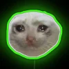 Dank Crying Cat Led RGB Neon Sign - Image 4