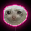 Dank Crying Cat Led RGB Neon Sign - Image 6