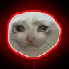 Dank Crying Cat Led RGB Neon Sign - Image 2