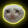 Dank Crying Cat Led RGB Neon Sign - Image 5