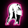 Darling In The Franxx Zero Two RGB Neon Sign - Image 6