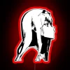 Darling In The Franxx Zero Two RGB Neon Sign - Image 2