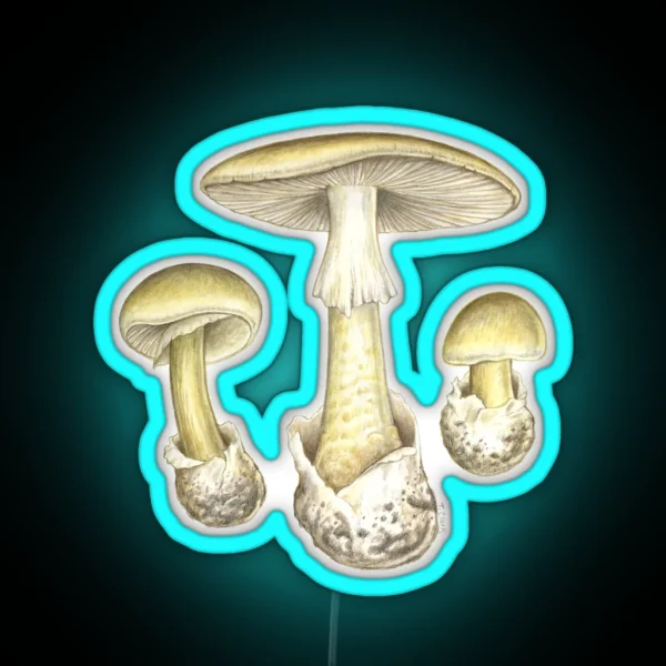 Death Cap Mushroom Amanita Phalloides RGB Neon Sign