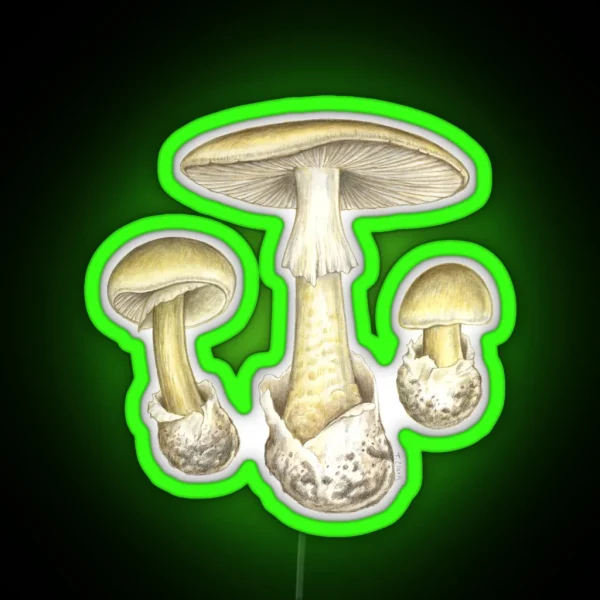 Death Cap Mushroom Amanita Phalloides RGB Neon Sign