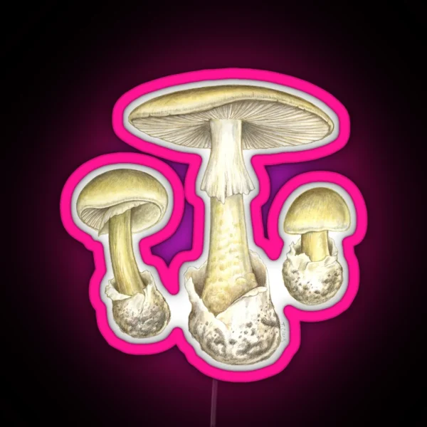 Death Cap Mushroom Amanita Phalloides RGB Neon Sign