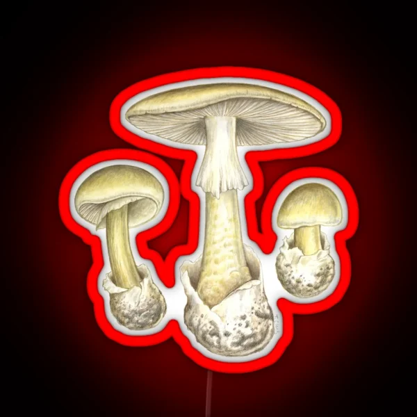 Death Cap Mushroom Amanita Phalloides RGB Neon Sign