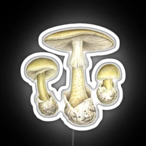 Death Cap Mushroom Amanita Phalloides RGB Neon Sign