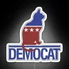 Democat RGB Neon Sign - Image 4