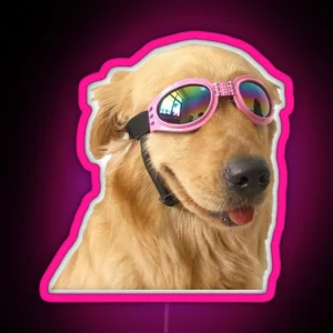 Dog In Sunglasses RGB Neon Sign