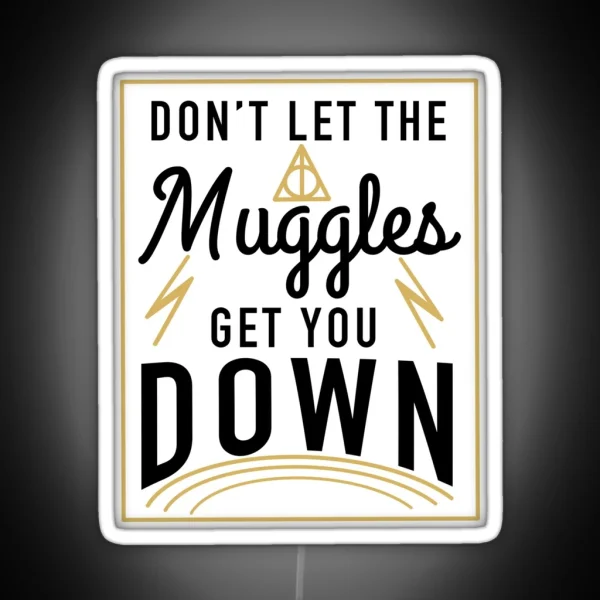 Don T Let The Muggles Get You Down RGB Neon Sign