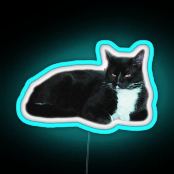 Dragged RGB Neon Sign