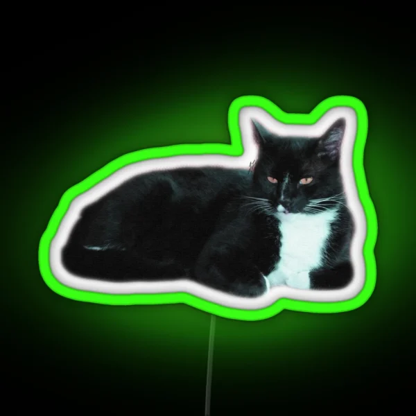 Dragged RGB Neon Sign