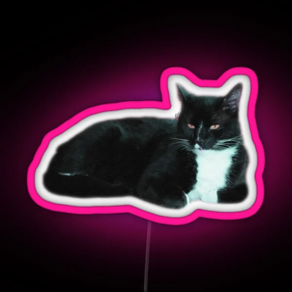 Dragged RGB Neon Sign