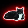 Dragged RGB Neon Sign