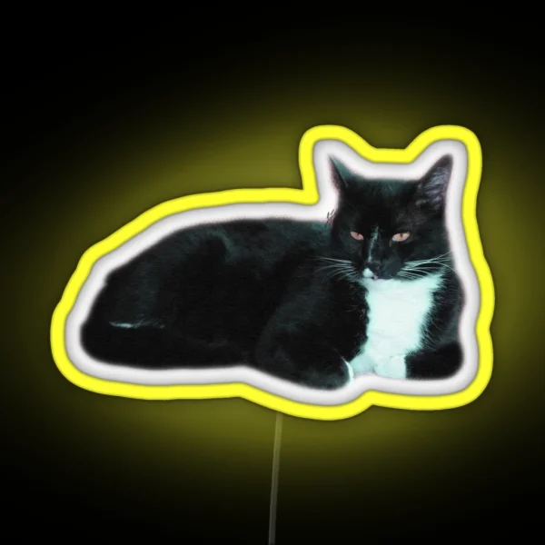 Dragged RGB Neon Sign