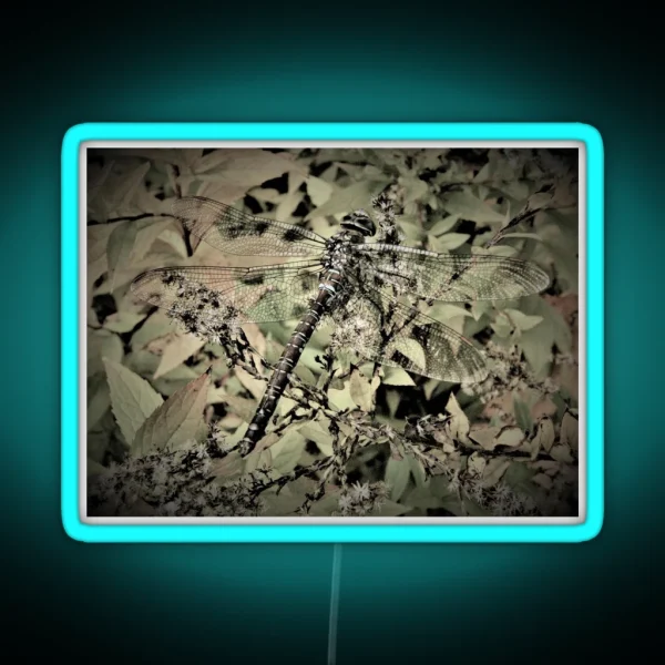 Dragonfly In Hiding RGB Neon Sign