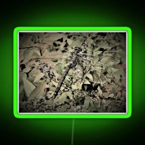 Dragonfly In Hiding RGB Neon Sign