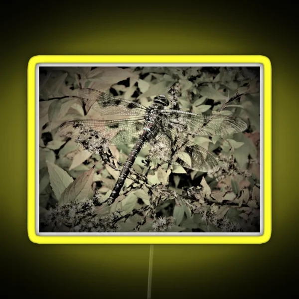 Dragonfly In Hiding RGB Neon Sign