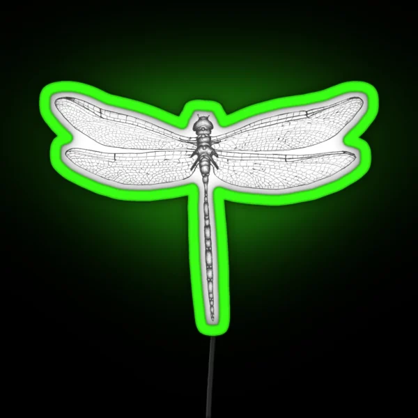 Dragonfly Wings RGB Neon Sign