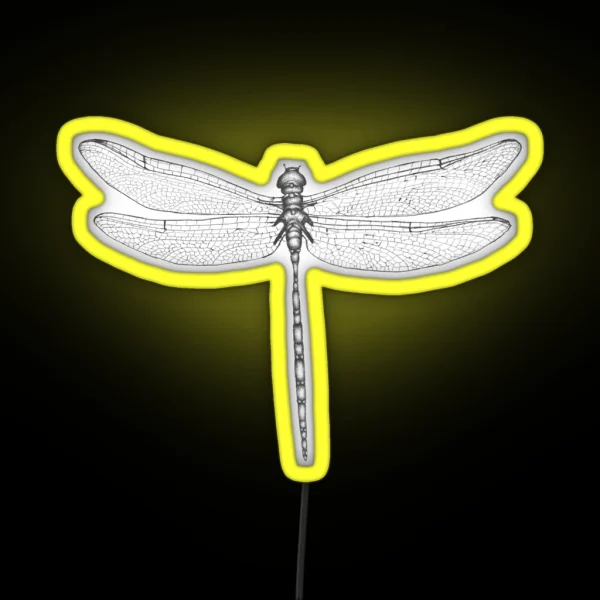 Dragonfly Wings RGB Neon Sign