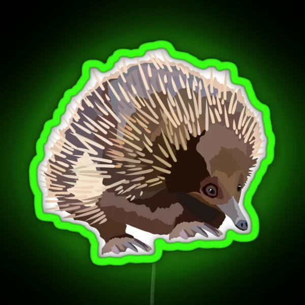 E Is For Echidna RGB Neon Sign