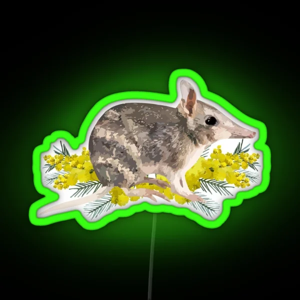 Eastern Barred Bandicoot And Golden Wattle RGB Neon Sign