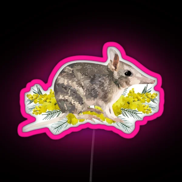 Eastern Barred Bandicoot And Golden Wattle RGB Neon Sign