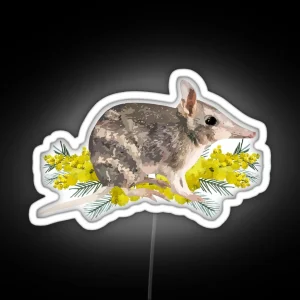 Eastern Barred Bandicoot And Golden Wattle RGB Neon Sign