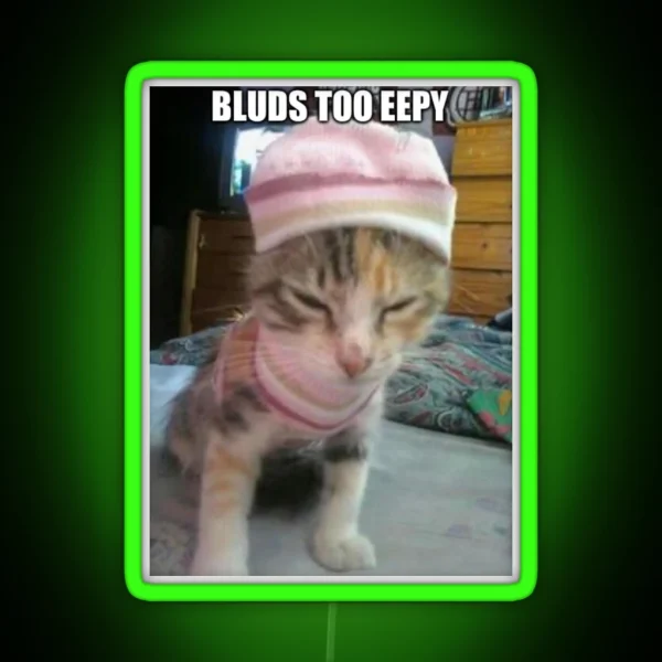 Eepy Cat RGB Neon Sign