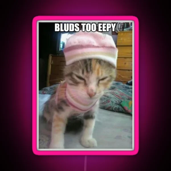 Eepy Cat RGB Neon Sign