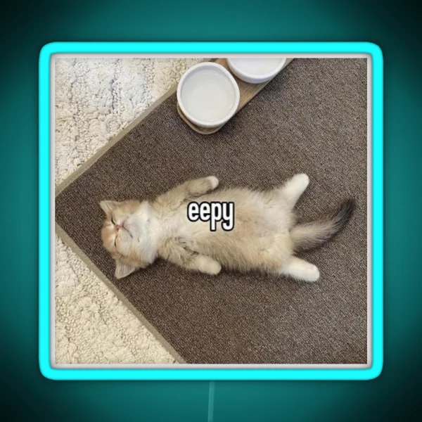 Eepy Kitten Meme RGB Neon Sign