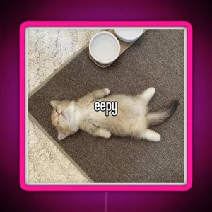 Eepy Kitten Meme RGB Neon Sign