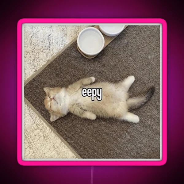 Eepy Kitten Meme RGB Neon Sign