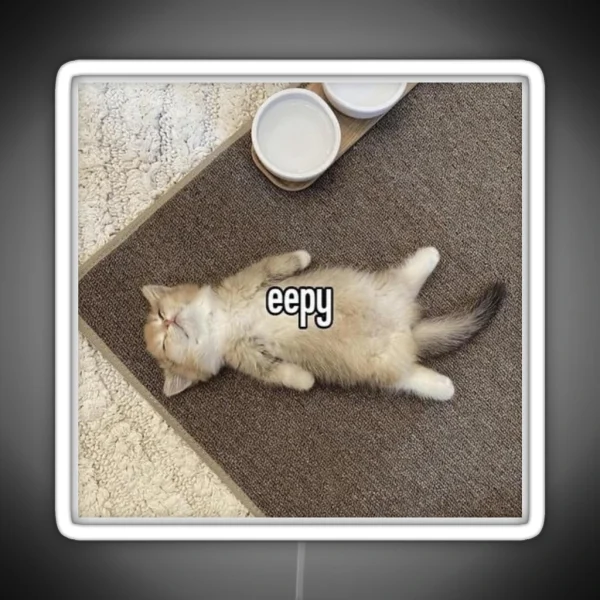 Eepy Kitten Meme RGB Neon Sign