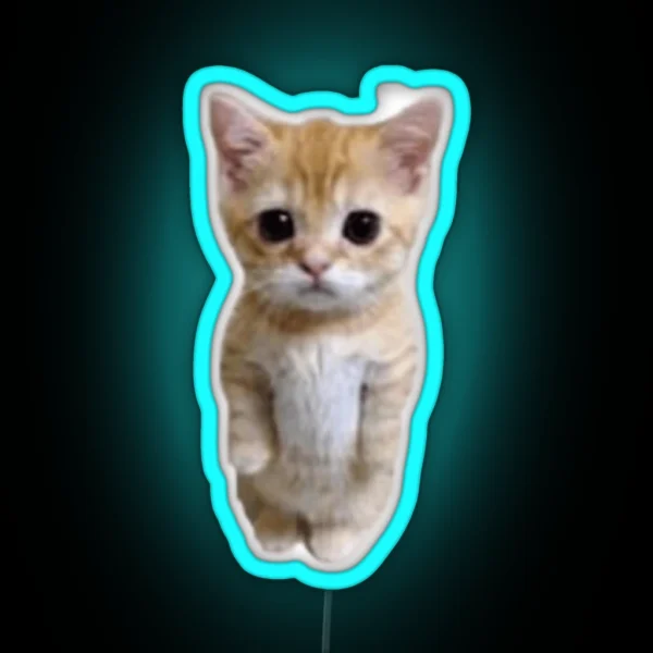 El Gato Cat RGB Neon Sign