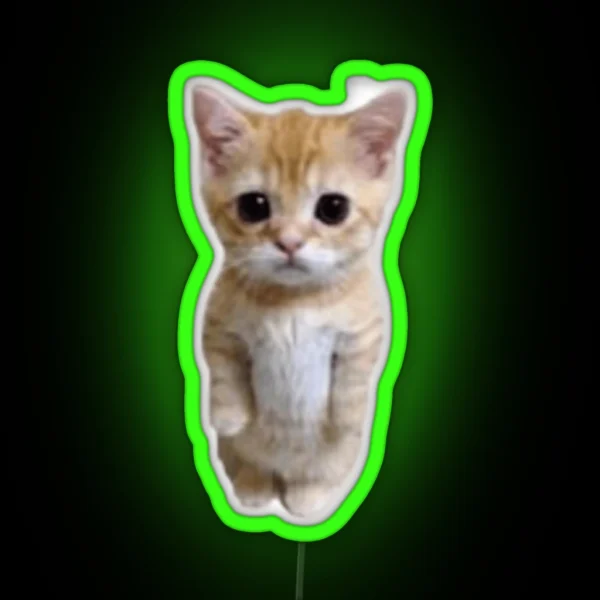 El Gato Cat RGB Neon Sign