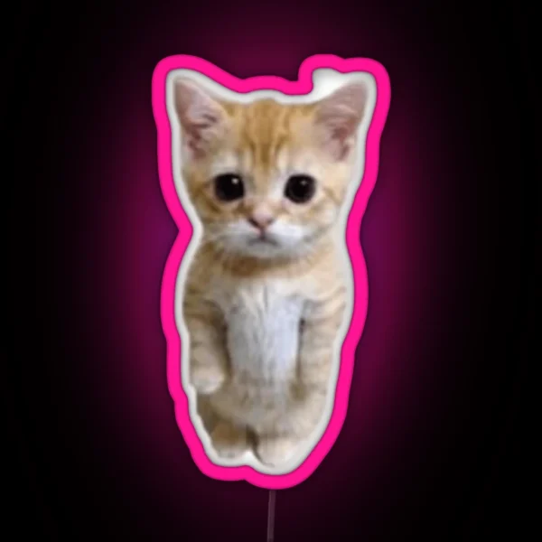 El Gato Cat RGB Neon Sign