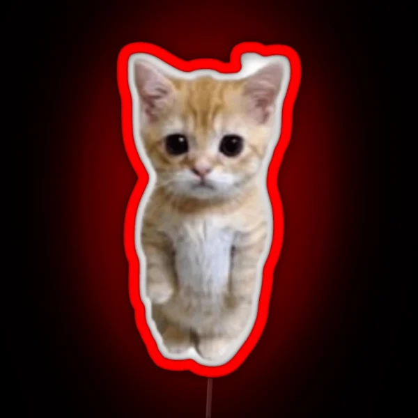 El Gato Cat RGB Neon Sign