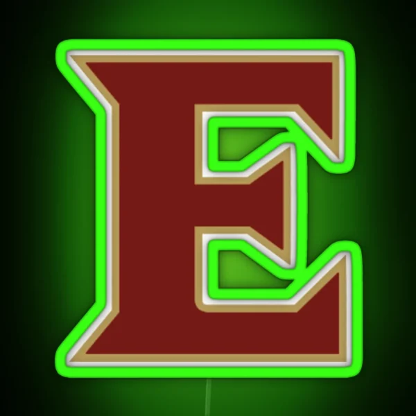 Elon RGB Neon Sign