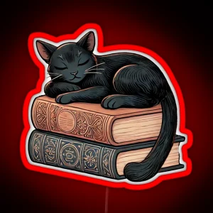 Enchanted Slumber Black Cat And Magical Books RGB Neon Sign