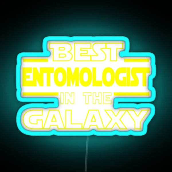 Entomologist Job Dad Mom Hudband Mens Led RGB Neon Sign