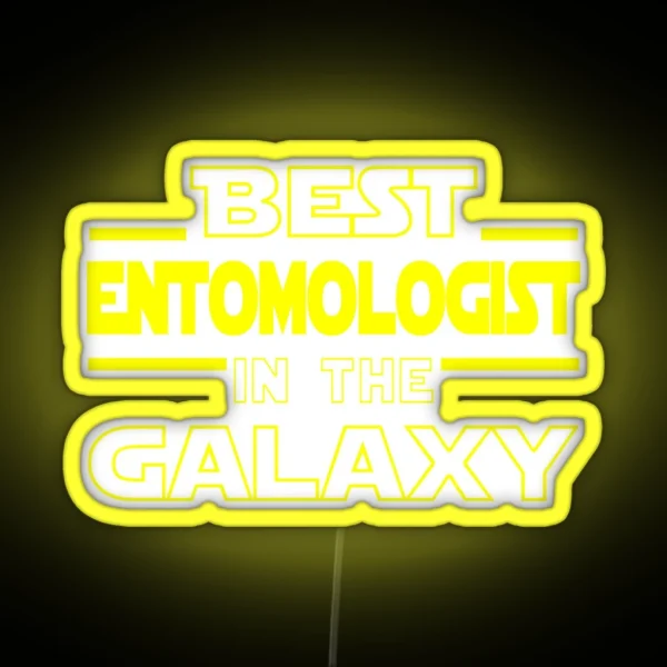 Entomologist Job Dad Mom Hudband Mens Led RGB Neon Sign