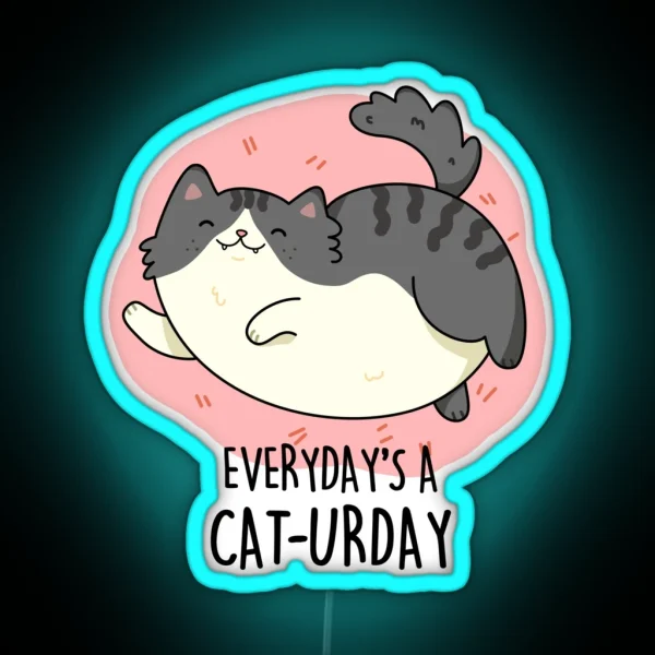 Everyday S A Cat Urday Fat Kitty Funny Cat RGB Neon Sign