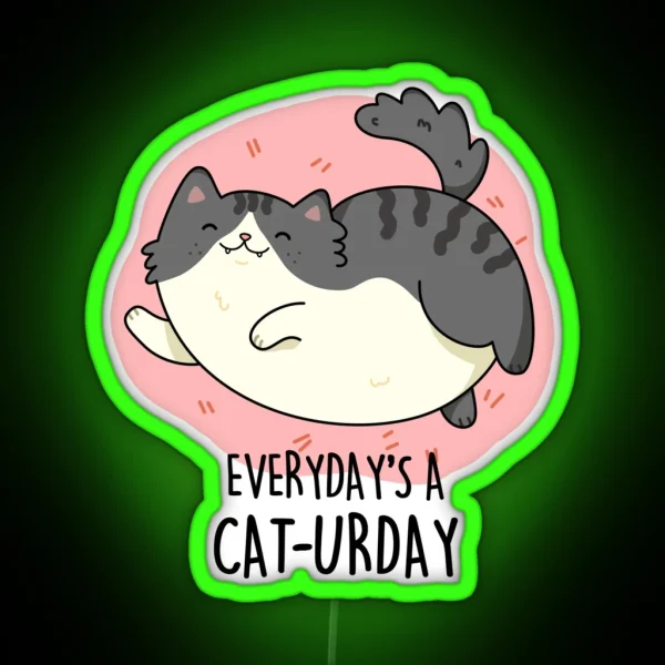 Everyday S A Cat Urday Fat Kitty Funny Cat RGB Neon Sign