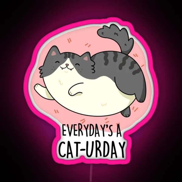Everyday S A Cat Urday Fat Kitty Funny Cat RGB Neon Sign